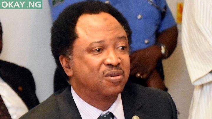 Shehu Sani