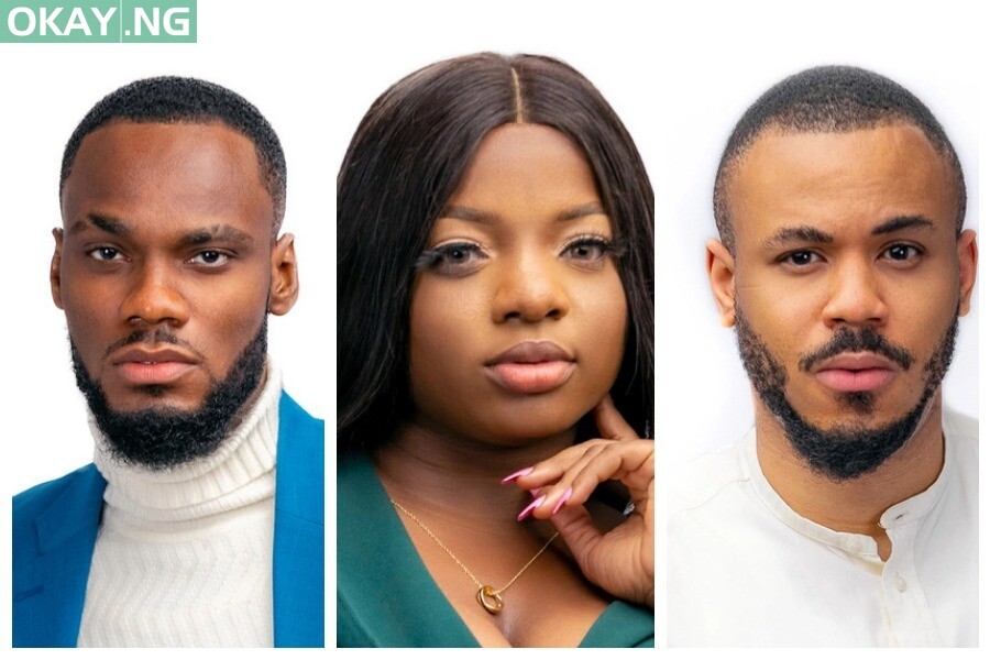 BBNaija 2020 housemates
