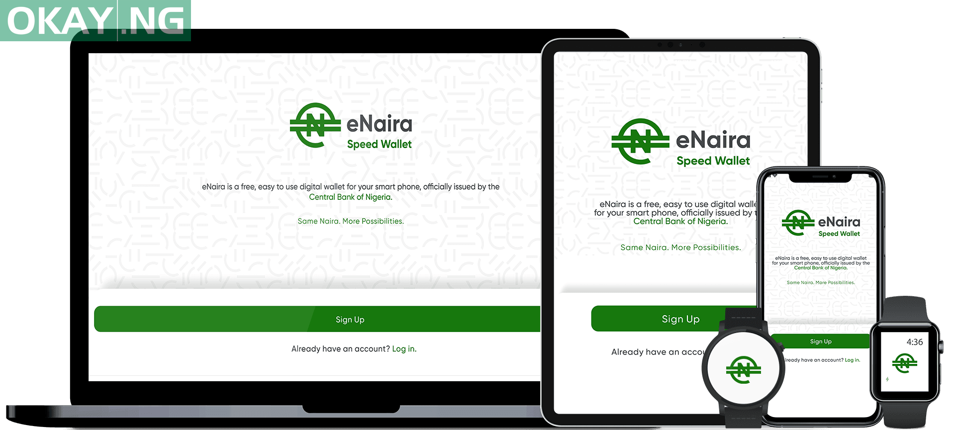 eNaira on different devices