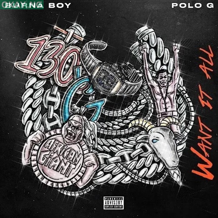Want It All by Burna Boy featuring Polo G