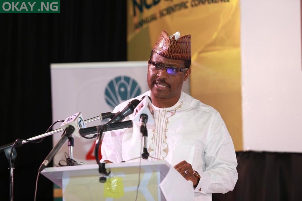 Executive Director, NPHCDA, Dr Faisal Shuaib