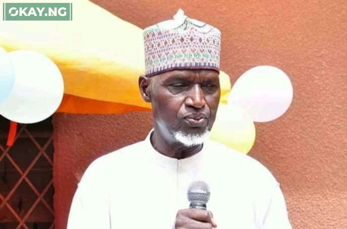 Professor Abdullahi Mahadi