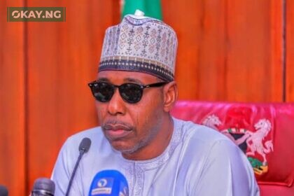 Governor Babagana Umara Zulum