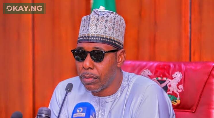 Governor Babagana Umara Zulum