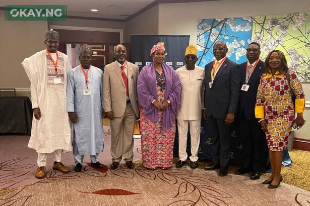 L-R: Alhaji Auwal Ahmed, CEO, Digital Health and Innovation Solutions; Alhaji Ibrahim Bapete, Executive Director, Integrated Facility Management Ltd; Hon Tunde Doherty, Chairman, APC UK Chapter; Hajia Khuraira Musa, President K-Pro Consulting; Mr Babatunde MacAlabi, CEO, T-BYK Limited; Dr Adesola Adeduntan, CEO, FirstBank Group; Mr Tosin Adewuyi, Executive Director, Corporate Banking, FirstBank; Dr Remi Duyile, President, Image Consulting Group at the Africa International Trade Exhibition, New York on the sidelines of the 78th Session of UN General Assembly (UNGA 78), last week.