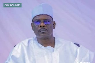 Senator Ali Ndume