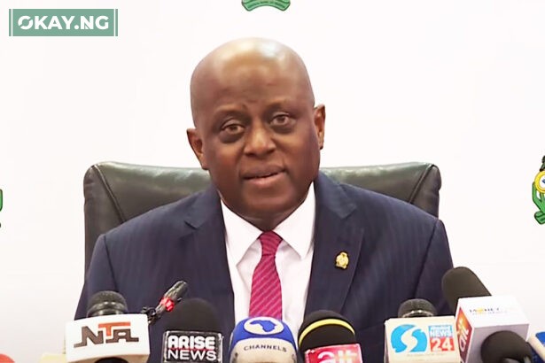 CBN Governor, Olayemi Cardoso