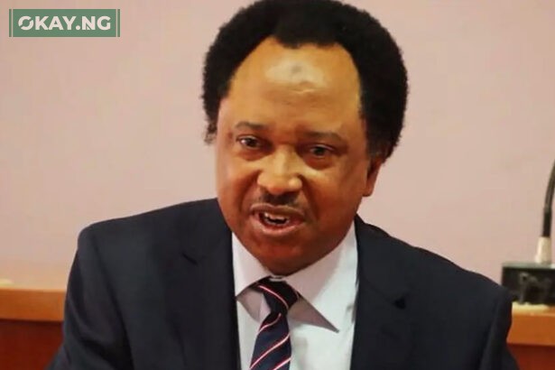 Shehu Sani
