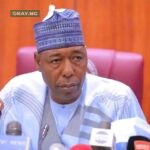 Governor of Borno State Babagana Zulum