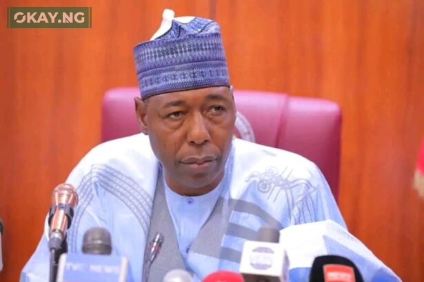 Governor of Borno State Babagana Zulum