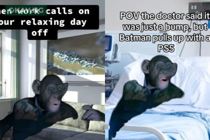 Oh No Monkey Planet of the Apes Meme