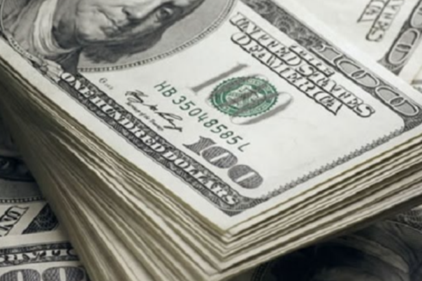 Capital Inflow, Net Inflow