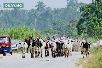 Herdsmen Registration