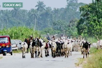 Herdsmen Registration