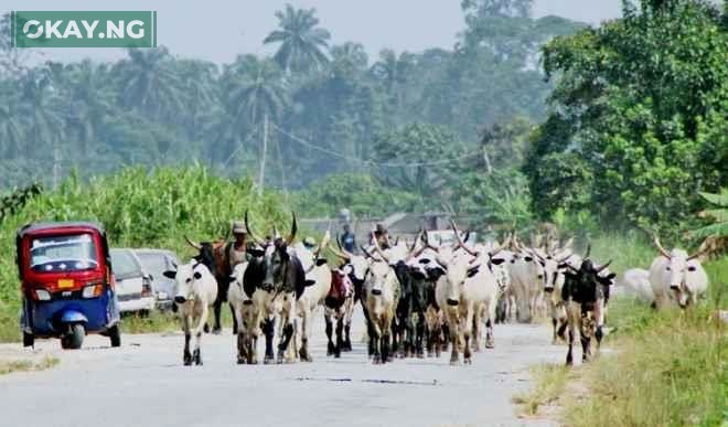 Herdsmen Registration