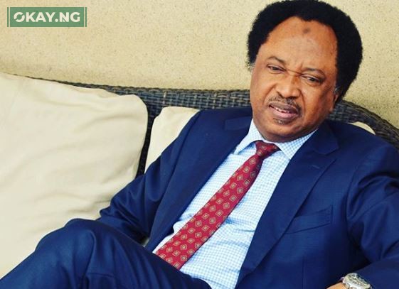 Shehu Sani