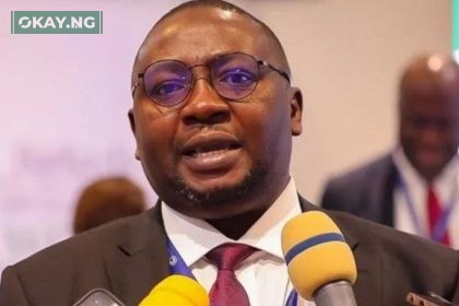 Nigeria power grid capacity