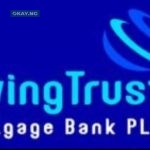 LivingTrust Mortgage Bank Financials