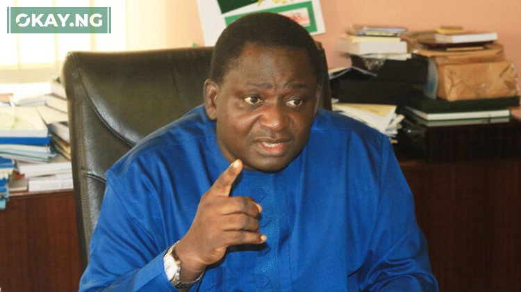 Femi Adesina
