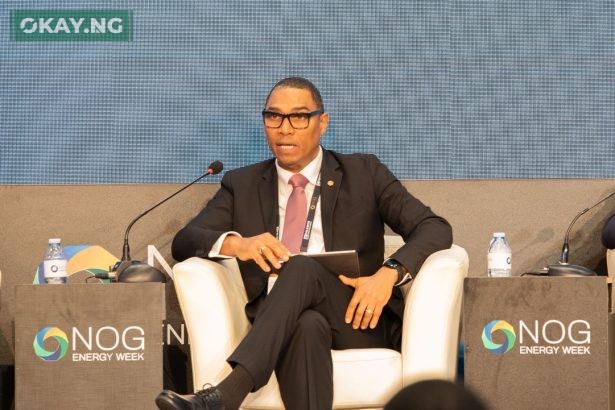 Managing Director, Shell Nigeria Exploration and production Company Limited, Ronald Adams... Speaking at a panel session at the 2025 Nigeria Oil and Gas Conference in Abuja.