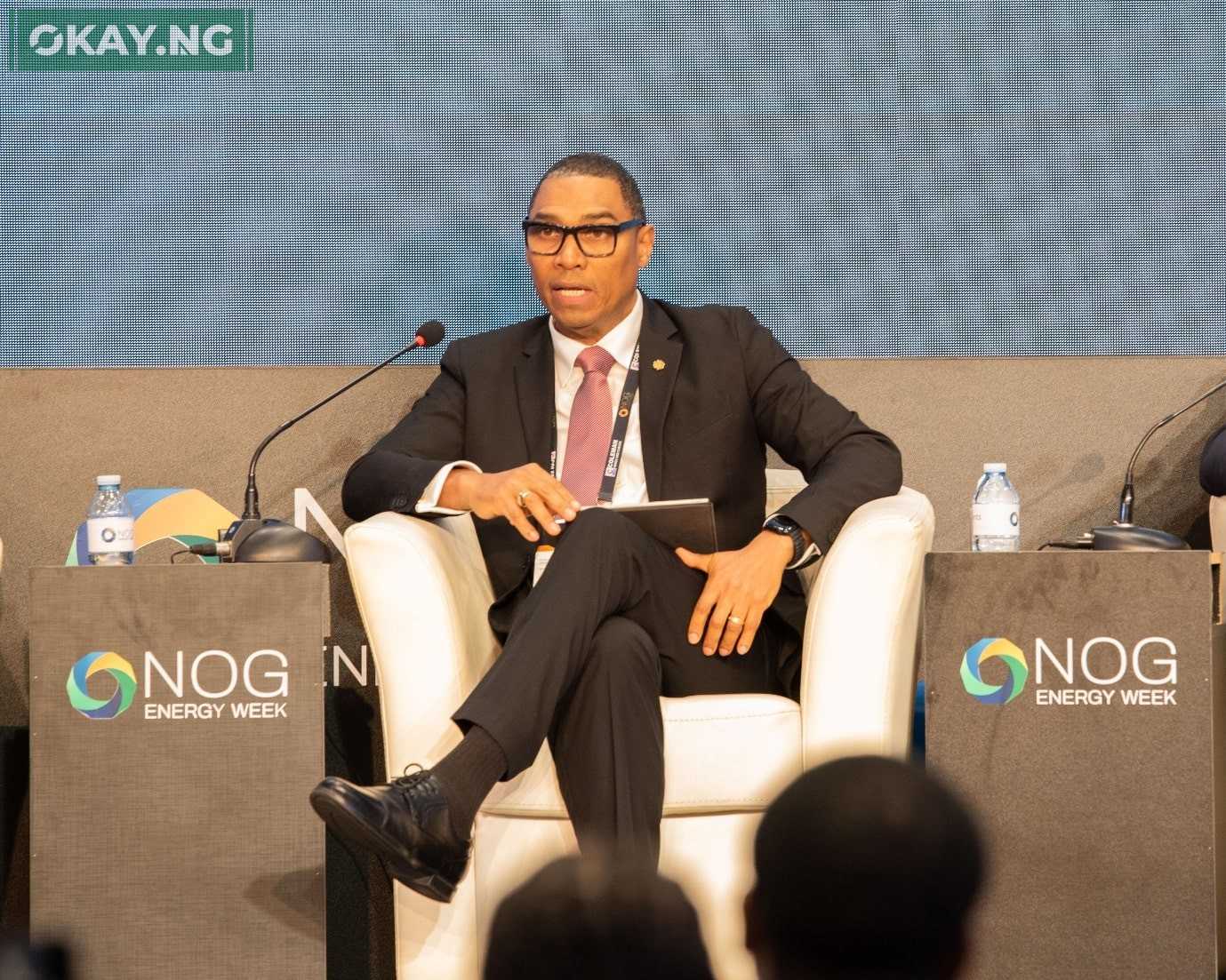 Managing Director, Shell Nigeria Exploration and production Company Limited, Ronald Adams... Speaking at a panel session at the 2025 Nigeria Oil and Gas Conference in Abuja.