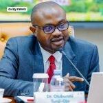 Single Travel Emergency Passport, Nigeria Immigration Service, Digital Identity Reform