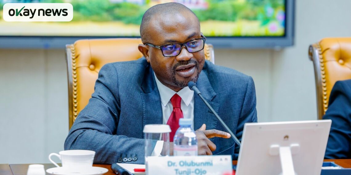 Single Travel Emergency Passport, Nigeria Immigration Service, Digital Identity Reform