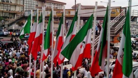 US Firm Demands Nigeria Election Interference Evidence