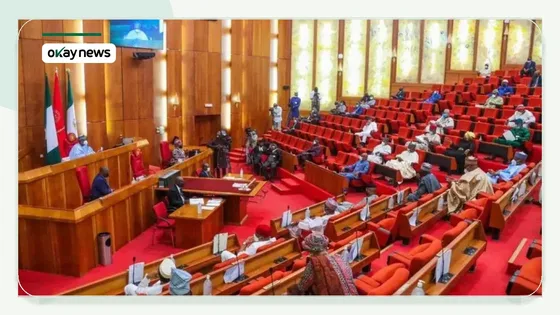 APC Senatorial Primaries Produce High-Profile Winners and Losers