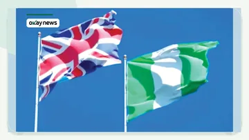 Convicted British-Nigerian Ifedayo Adeyeye Flees UK after Jail Error