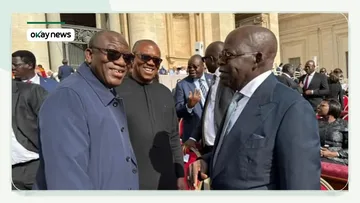 Fayemi Details Persuading Obi to Greet Tinubu at Vatican
