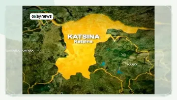 Gunmen Abduct Ex-Military Spokesperson in Katsina
