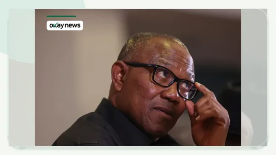 ‘I Will End Insecurity, Fix Nigeria’s Power Crisis’ – Obi Promises After Winning NDC Presidential Ticket