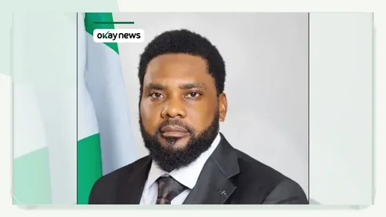 Nigeria Energy Commission Head Denies Arrest