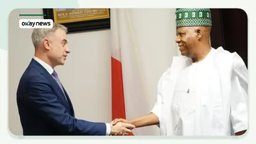 Nigeria, Poland Discuss Partnership in Technology, Defence and Maritime Sectors