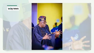 ‘Nigeria to Spend $11.6bn on Debt Servicing in 2026’ – Tinubu