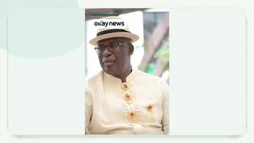 Abuja Court Orders Forfeiture of Nine Timipre Sylva Properties