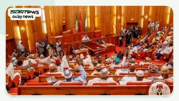 Nigerian Senate Revokes Rule on Leadership Eligibility