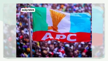 APC Panels Disqualify Over 150 Aspirants in Pre-primary Screening