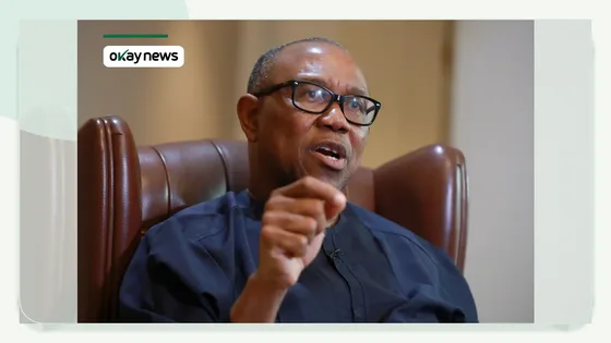 Peter Obi Emerges Sole NDC Presidential Aspirant
