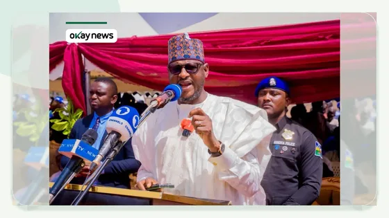 ‘Suspended Aide Linked to Kidnapping Had Earlier Been Removed From Office’ – Katsina Government