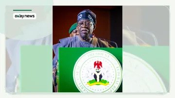 Nigeria's President Bola Ahmed Tinubu