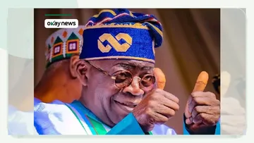 Tinubu Praises NDLEA Over $360 Million Nigerian-Mexican Cartel Bust