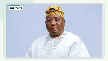 Gunmen Kidnap Ex-Minister Adelabu’s Family Members