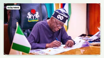 Tinubu Sends State Police Bill to Senate