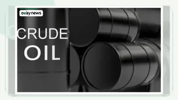 Crude Oil Prices Decline Following US-Iran Talks in Switzerland