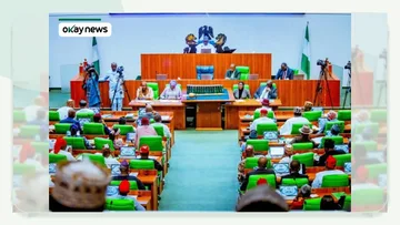 House of Reps Passes State Police Constitutional Amendment