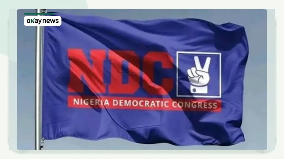 NDC Secures INEC Portal Access for 2027 Elections