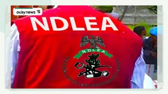 The National Drug Law Enforcement Agency (NDLEA)