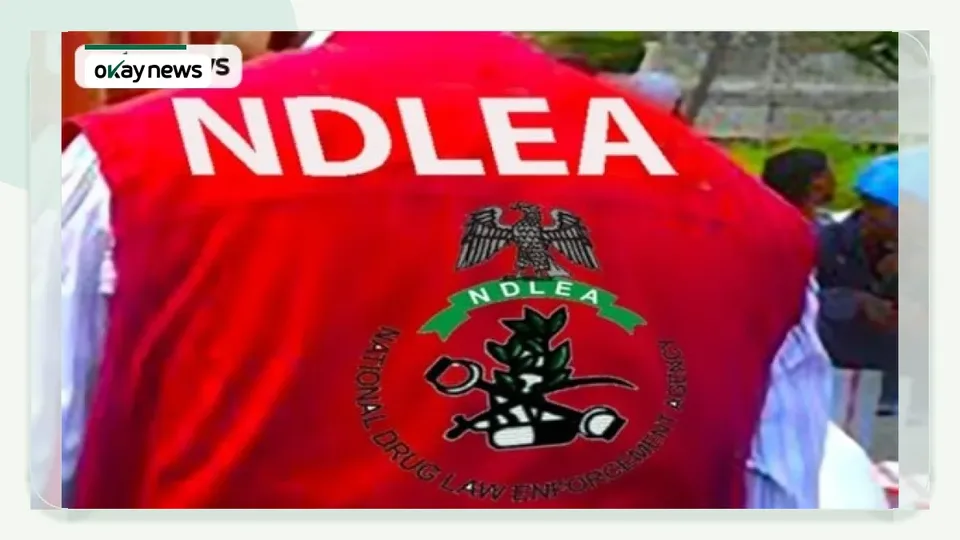 The National Drug Law Enforcement Agency (NDLEA)